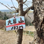 2026-02-14 11.50.05.jpg